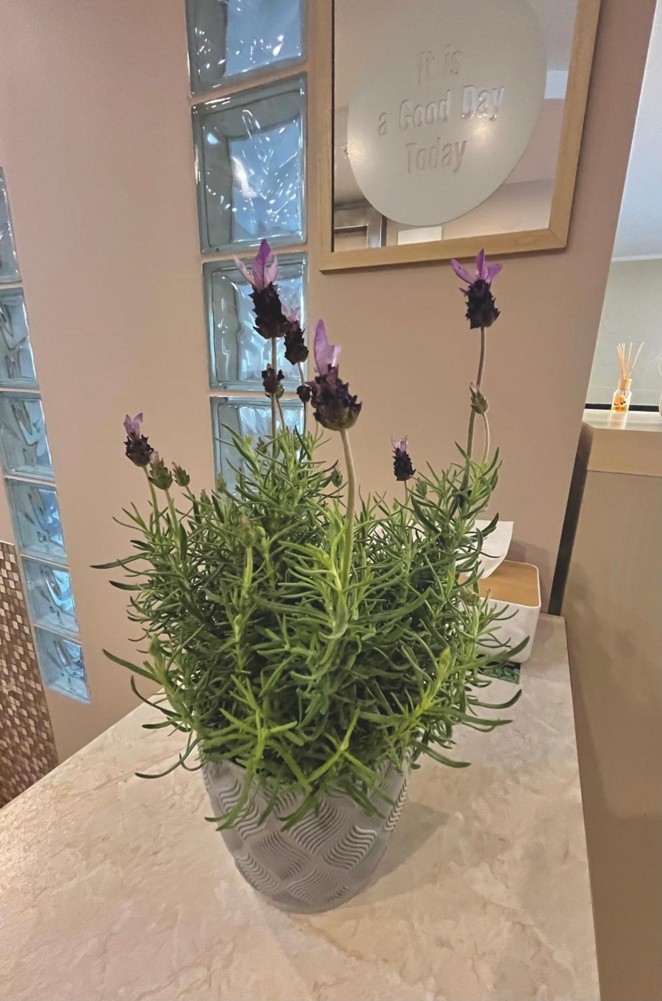 ורשה Apartament Roentgena 16 Przy Centrum Onkologii I Klinice Novum מראה חיצוני תמונה
